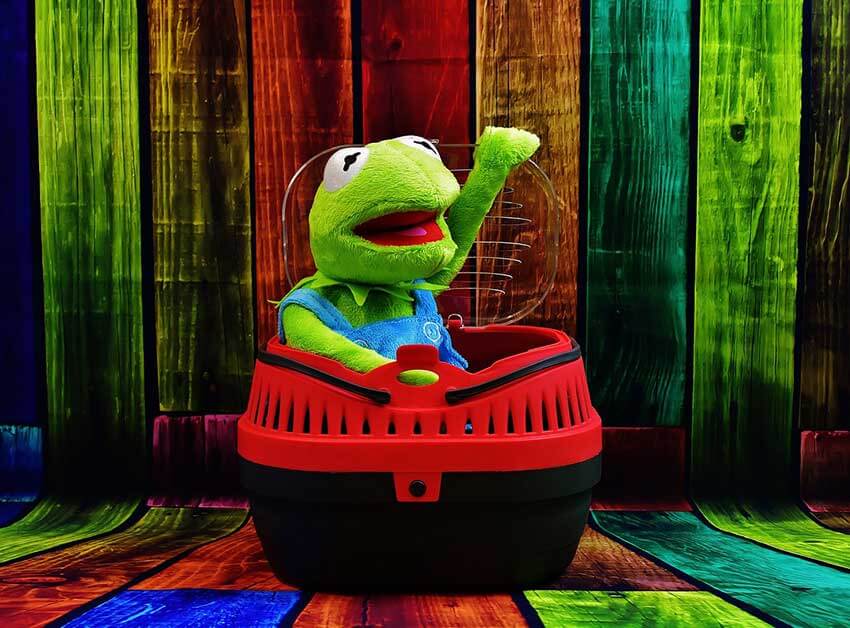 Kermit sitzt in einer Transportbox aus Kunststoff mit Tragebügeln und freut sich Auch Kermit fühlt sich in einer Transportbox wohl, denn das zeigt dieses Bild